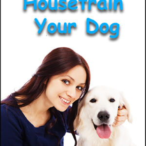 Easy Way To Housetrain Your Dog